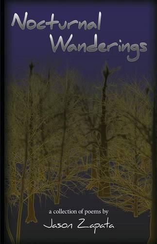 Cover image for Nocturnal Wanderings