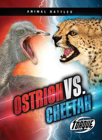 Cover image for Ostrich vs. Cheetah