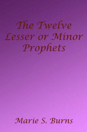 Cover image for The Twelve Lesser or Minor Prophets