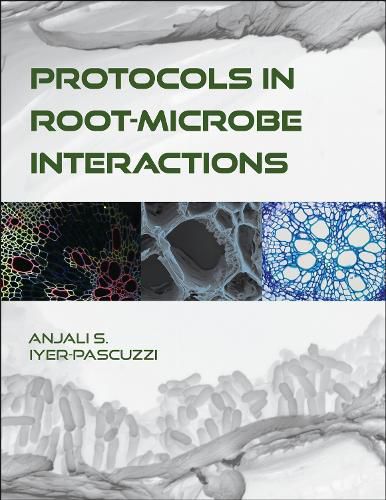 Cover image for Protocols in Root-Microbe Interactions