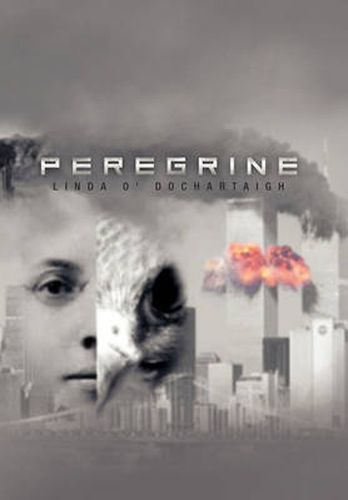 Cover image for Peregrine