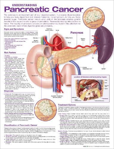 Cover image for Understanding Pancreatic Cancer Anatomical Chart