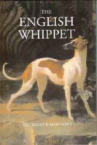 Cover image for The English Whippet