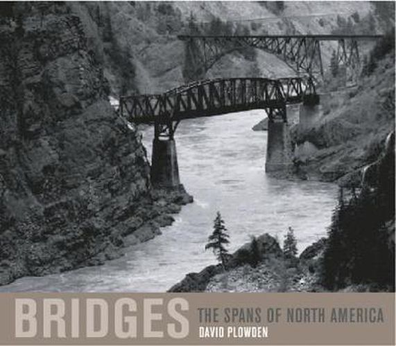 Cover image for Bridges: The Spans of North America