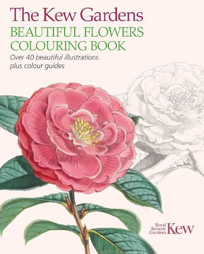 Cover image for The Kew Gardens Beautiful Flowers Colouring Book: Over 40 Beautiful Illustrations Plus Colour Guides