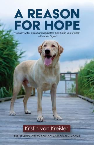 Cover image for A Reason for Hope