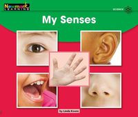 Cover image for My Senses Leveled Text