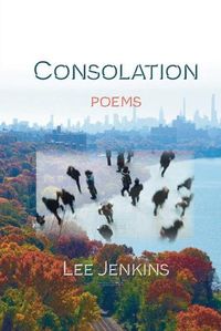 Cover image for Consolation; Poems