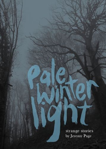 Cover image for Pale Winter Light