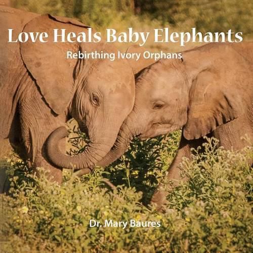 Cover image for Love Heals Baby Elephants; Rebirthing Ivory Orphans