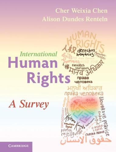 Cover image for International Human Rights: A Survey
