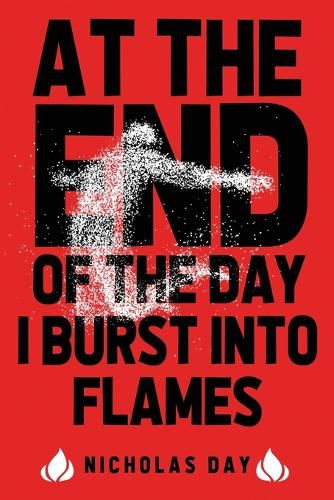 At The End Of The Day I Burst Into Flames