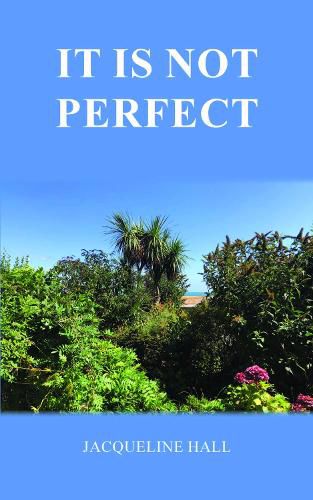 Cover image for It is not perfect