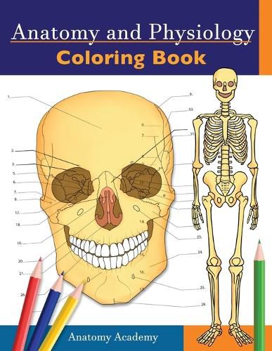 Cover image for Anatomy and Physiology Coloring Book: Incredibly Detailed Self-Test Color workbook for Studying Perfect Gift for Medical School Students, Doctors, Nurses and Adults