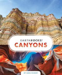 Cover image for Canyons