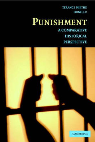 Cover image for Punishment: A Comparative Historical Perspective