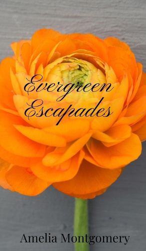 Cover image for Evergreen Escapades