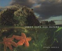 Cover image for Under Cape Cod Waters