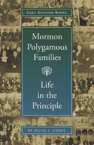 Cover image for Mormon Polygamous Families: Life in the Principle