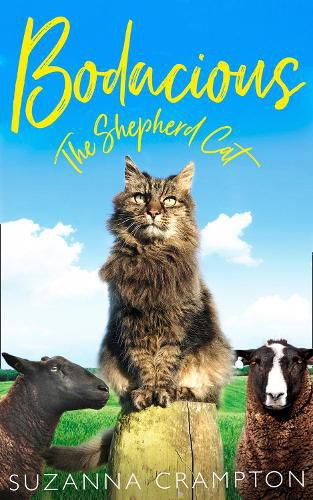 Cover image for Bodacious: The Shepherd Cat