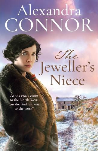 Cover image for The Jeweller's Niece