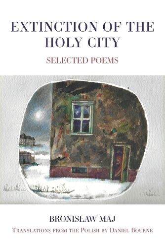 Cover image for Extinction of the Holy City