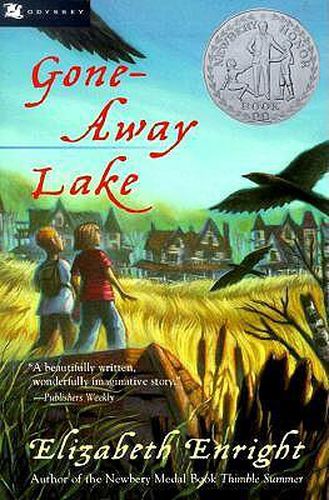 Cover image for Gone-Away Lake