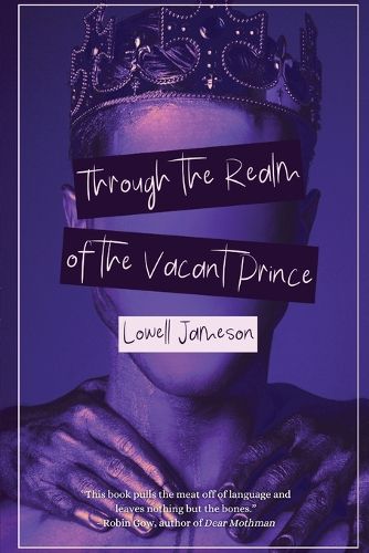 Cover image for Through the Realm of the Vacant Prince