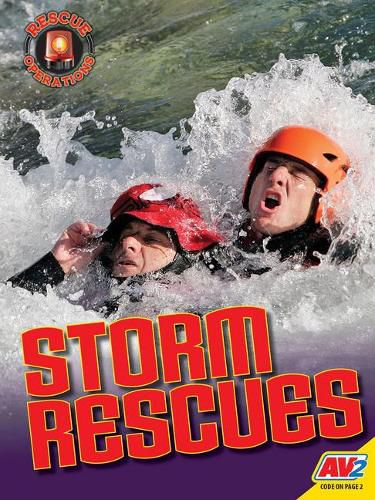 Cover image for Storm Rescues