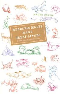 Cover image for Headless Males Make Great Lovers: And Other Unusual Natural Histories