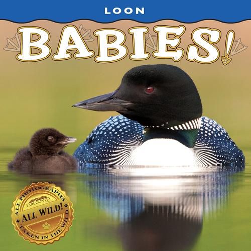 Cover image for Loon Babies!