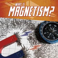 Cover image for What Is Magnetism?