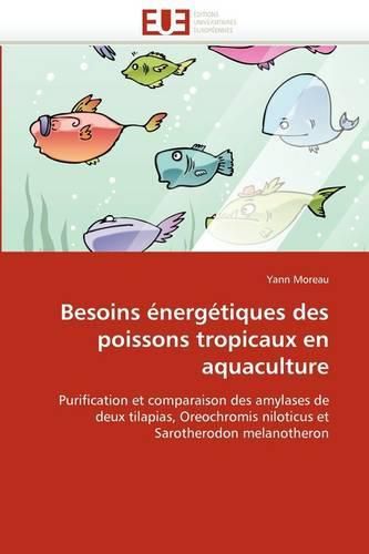 Cover image for Besoins Nerg Tiques Des Poissons Tropicaux En Aquaculture