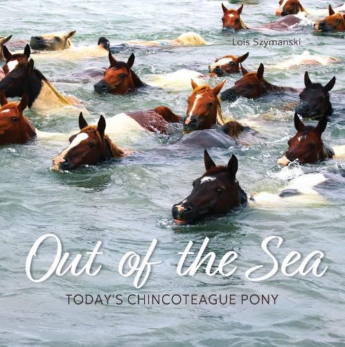 Cover image for Out of the Sea
