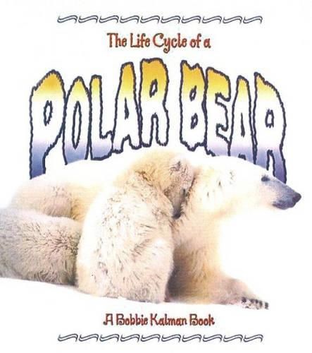 Cover image for The Life Cycle of a Polar Bear