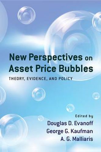 Cover image for New Perspectives on Asset Price Bubbles