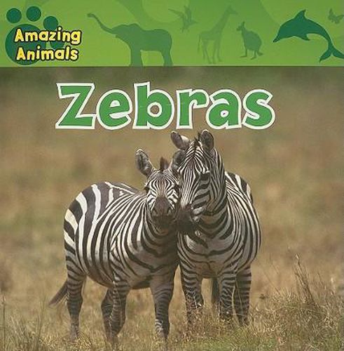 Cover image for Zebras