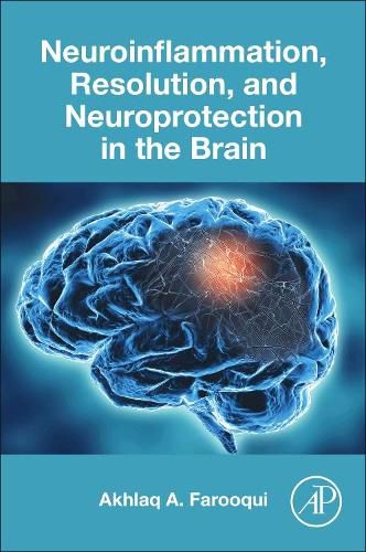 Cover image for Neuroinflammation, Resolution, and Neuroprotection in the Brain