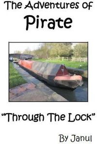 Cover image for Through the Lock