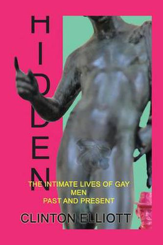 Cover image for Hidden