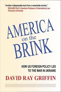 Cover image for America on the Brink