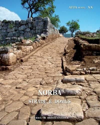 Cover image for Norba: Strade E Domus