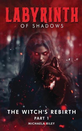 Cover image for Labyrinth of Shadows