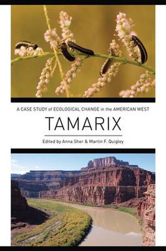 Cover image for Tamarix: A Case Study of Ecological Change in the American West