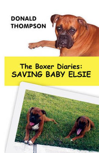 Cover image for The Boxer Diaries: Saving Baby Elsie