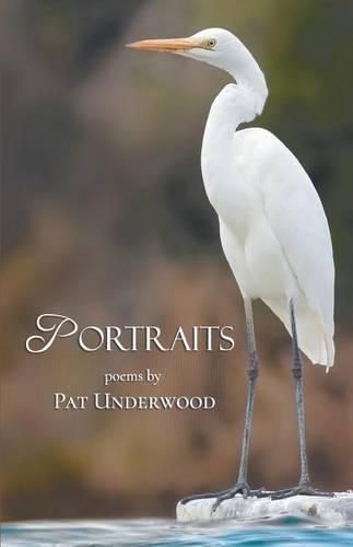 Cover image for Portraits