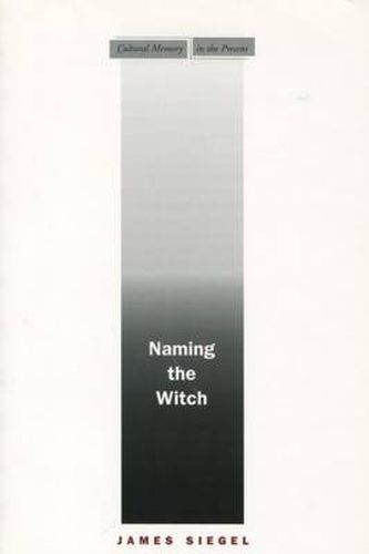 Cover image for Naming the Witch