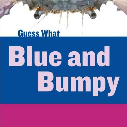 Cover image for Blue and Bumpy: Blue Crab