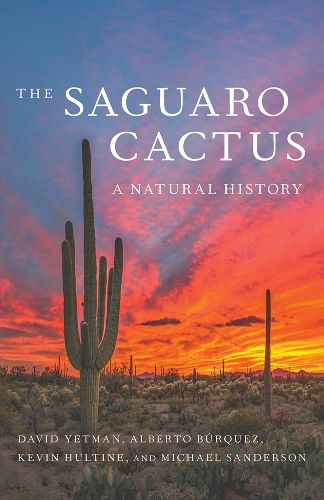 Cover image for The Saguaro Cactus: A Natural History