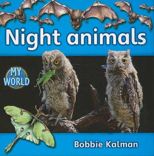 Cover image for Night animals